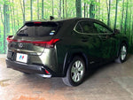 LEXUS UX250h
