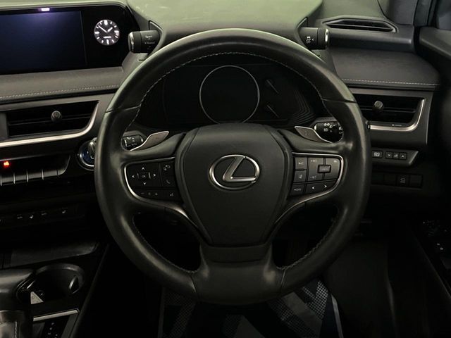 LEXUS UX250h