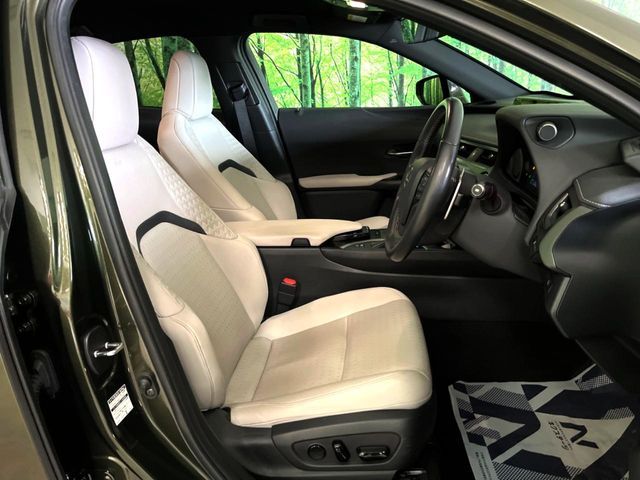 LEXUS UX250h