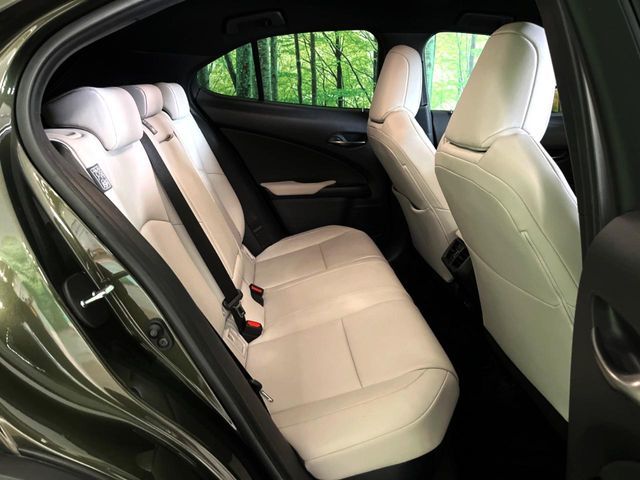 LEXUS UX250h