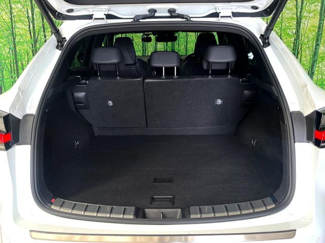 LEXUS NX350h