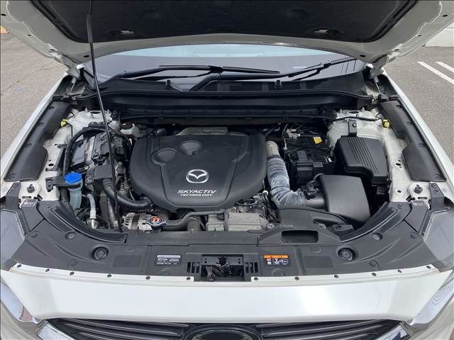 CX-8
