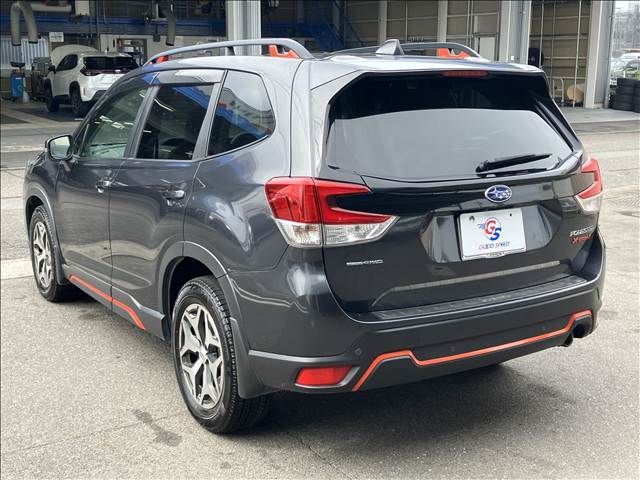 FORESTER
