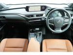 LEXUS UX250h