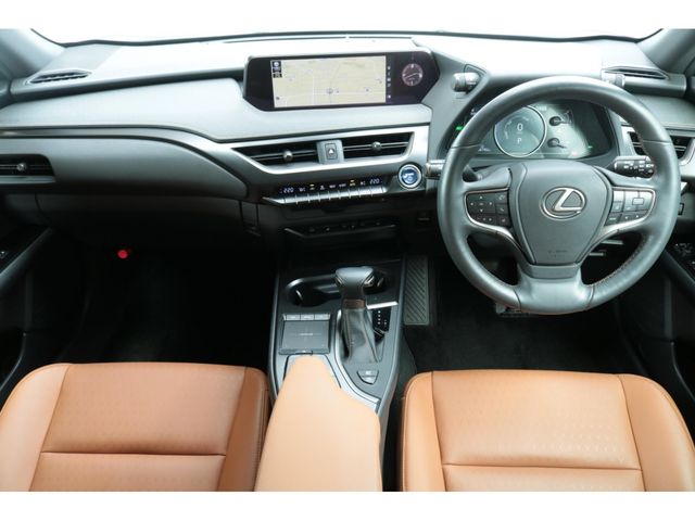 LEXUS UX250h