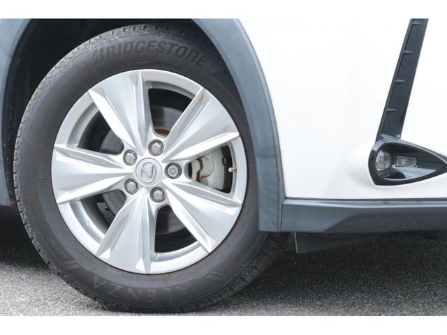 LEXUS UX250h