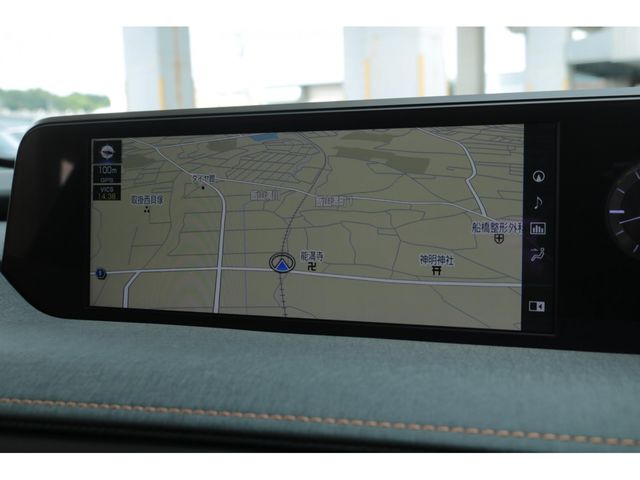 LEXUS UX250h