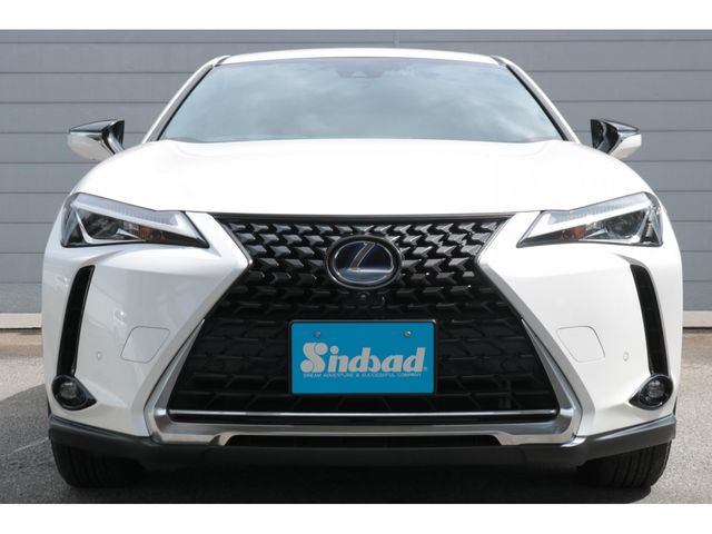 LEXUS UX250h