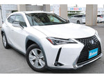 LEXUS UX250h
