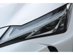 LEXUS UX250h