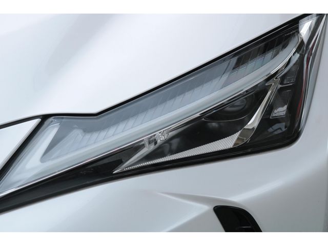 LEXUS UX250h