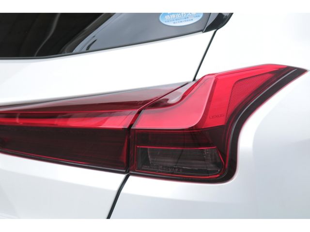 LEXUS UX250h