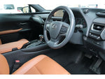 LEXUS UX250h