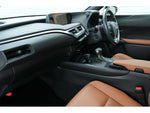 LEXUS UX250h