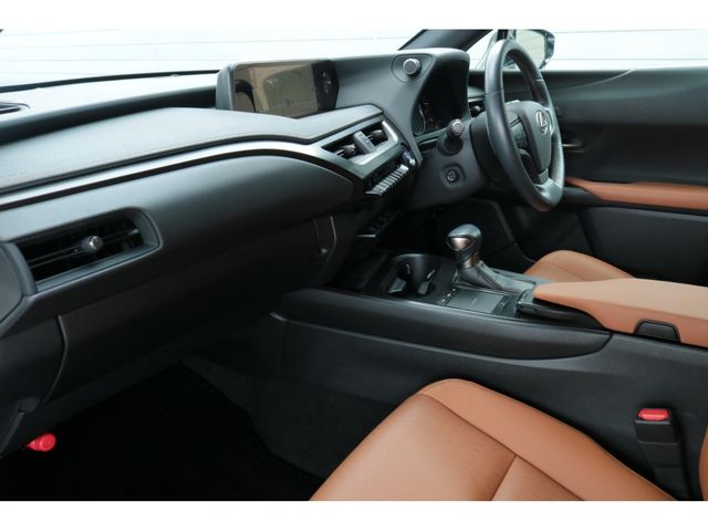 LEXUS UX250h