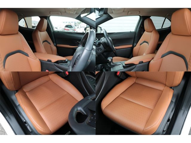 LEXUS UX250h