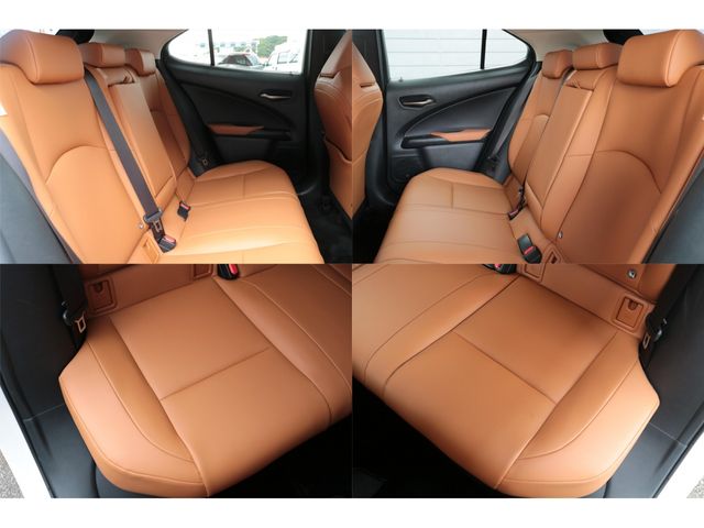 LEXUS UX250h