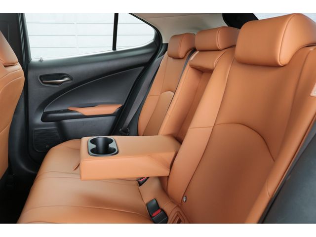 LEXUS UX250h