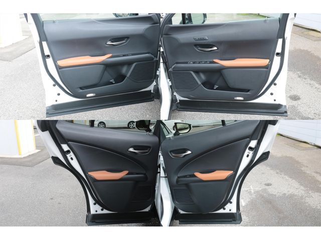 LEXUS UX250h