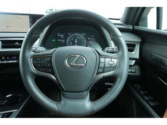 LEXUS UX250h
