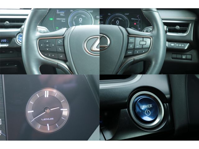 LEXUS UX250h