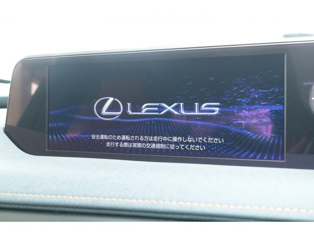 LEXUS UX250h