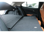 LEXUS UX250h
