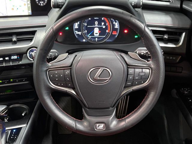 LEXUS UX250h