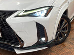 LEXUS UX250h