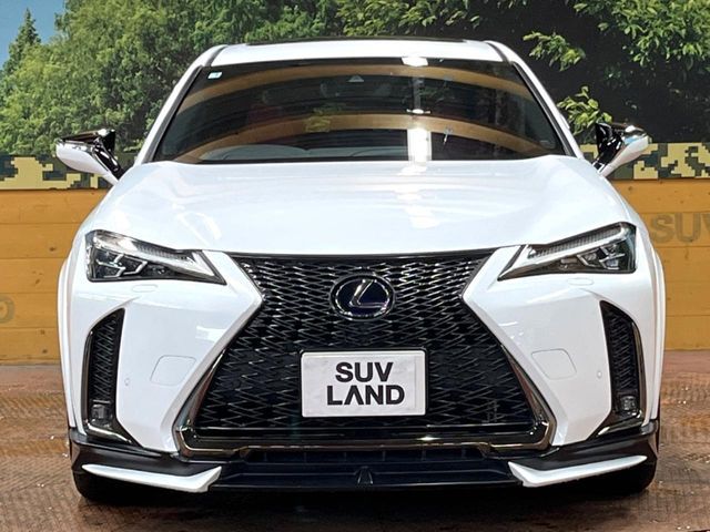 LEXUS UX250h