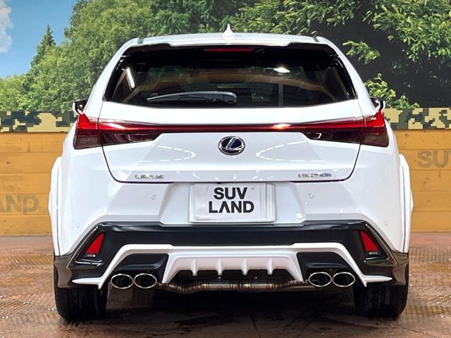 LEXUS UX250h