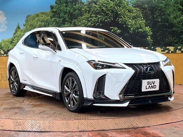 LEXUS UX250h
