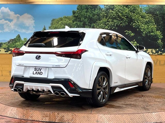 LEXUS UX250h