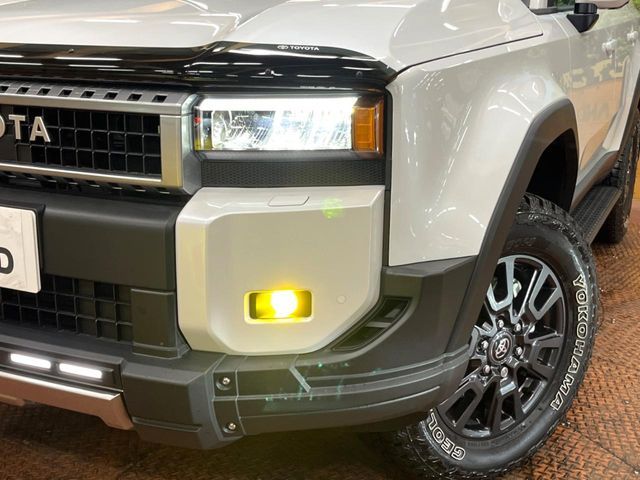 LANDCRUISER 250
