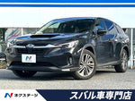LEVORG LAYBACK