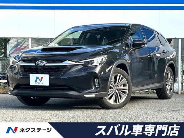 LEVORG LAYBACK