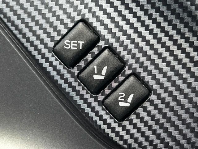 LEVORG LAYBACK