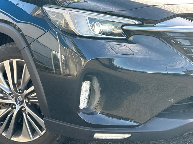 LEVORG LAYBACK