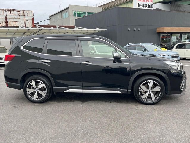 FORESTER