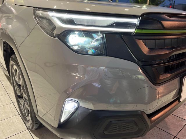 FORESTER