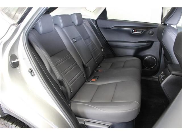 LEXUS NX300h AWD