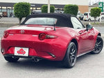 ROADSTER
