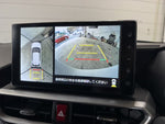 RAIZE HYBRID