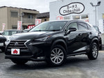 LEXUS NX300h