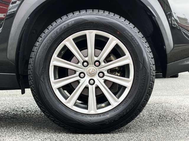 LEXUS NX300h
