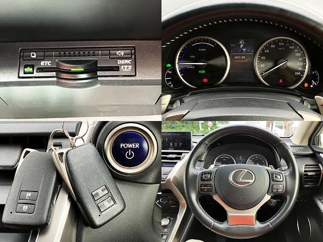 LEXUS NX300h