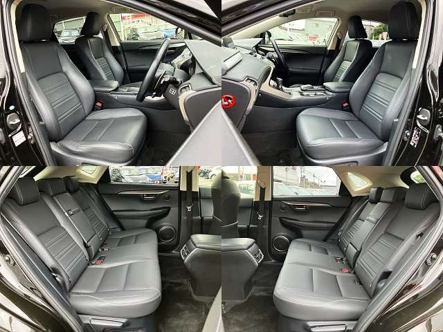 LEXUS NX300h