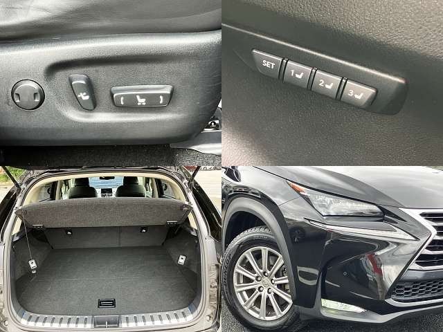 LEXUS NX300h
