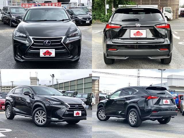 LEXUS NX300h