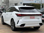 LEXUS RX500h